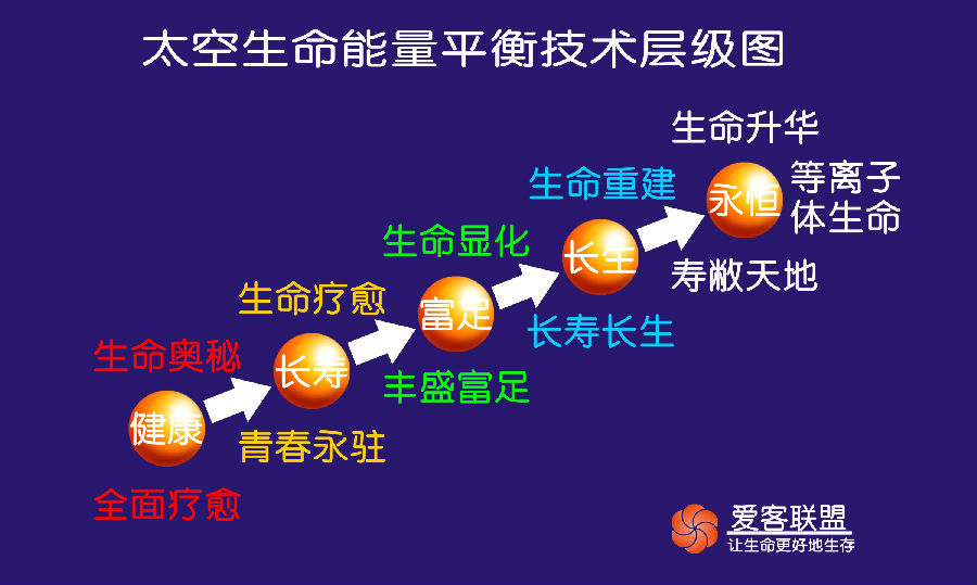 生命线系统有什么用_生命线系统包括_生命系统的