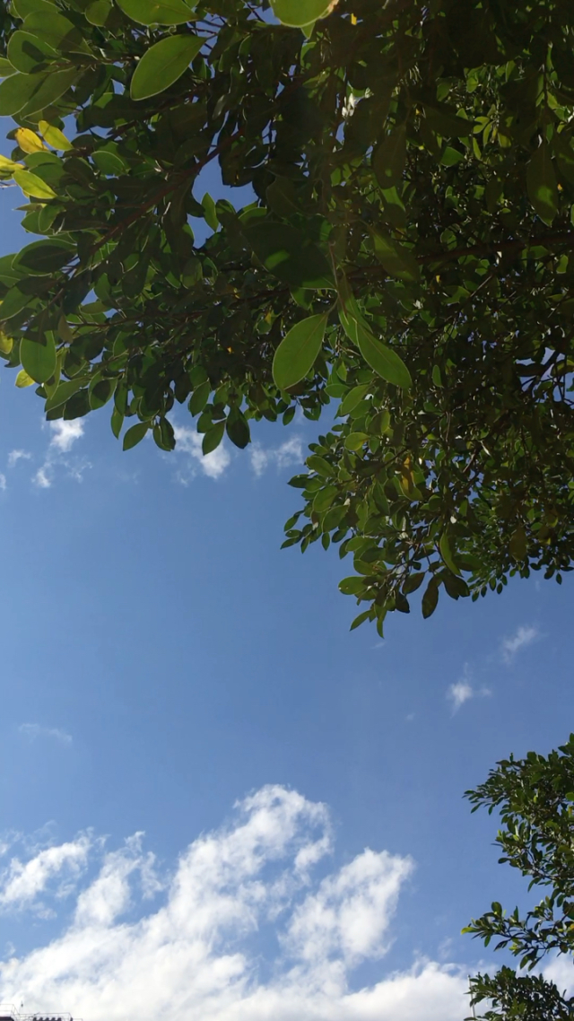 新晴天气_新晴天气-天气预报_新晴天气最新版