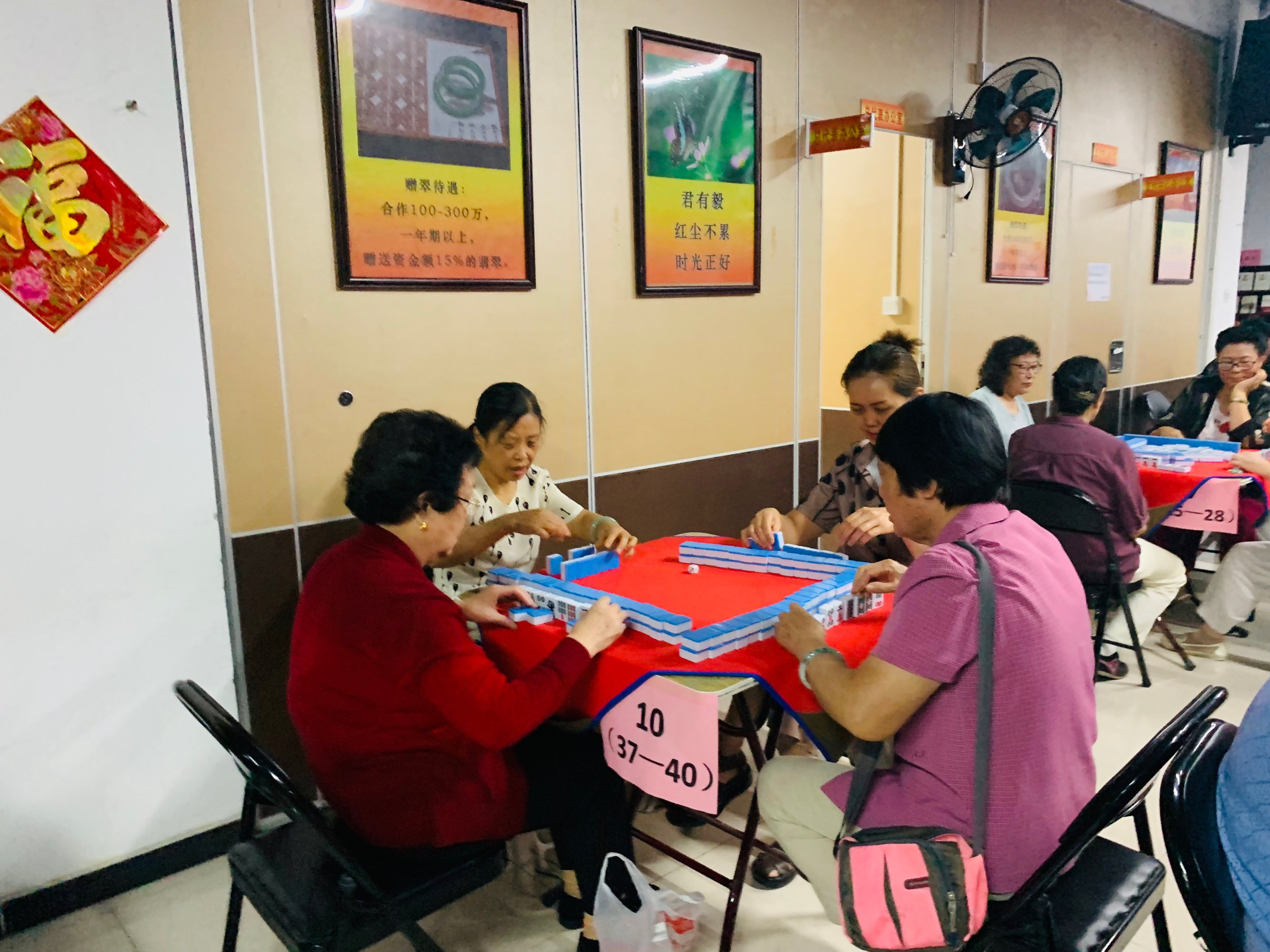 麻将西后面是什么_麻将西入_西科麻将