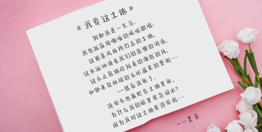 字体奶酪体_免费的奶酪字体app_免费字体奶酪字体