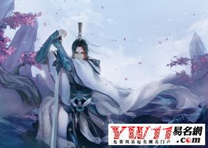 个性网络游戏名字,探寻独特ID背后的故事