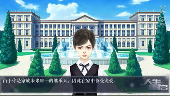 人生重启橙光游戏,橙光游戏中的奇幻旅程